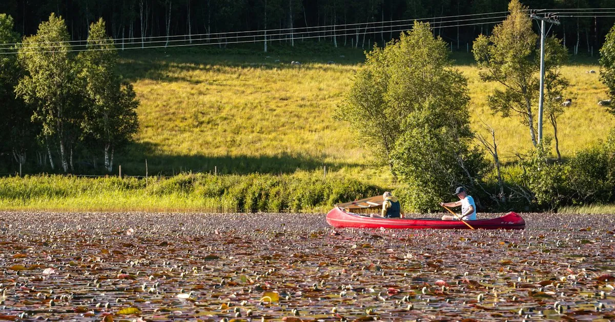 Sommerferien og fellesferien 2027